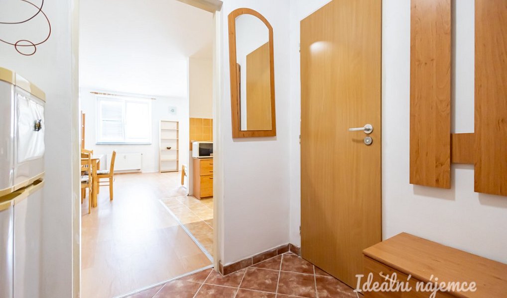 Pronájem bytu 1+kk 47 m², Šestajovice – náhled fotky 6