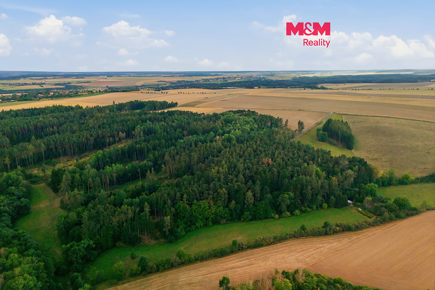 Prodej lesa 5 988 m²