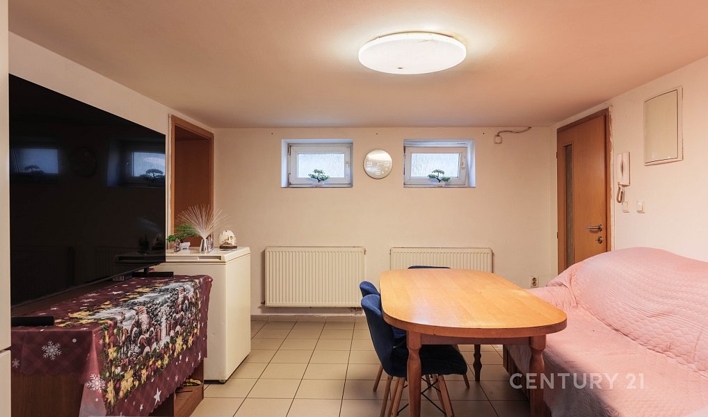 Prodej domu 240 m² s pozemkem 348 m², Bzenec – náhled fotky 25