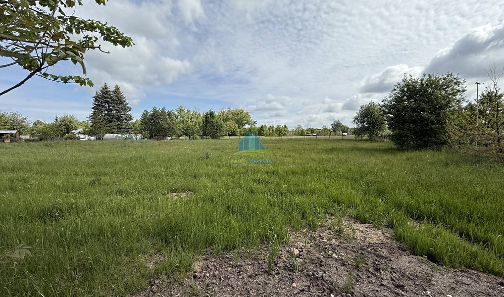 Prodej zahrady 1 146 m², Františkovy Lázně – náhled fotky 6
