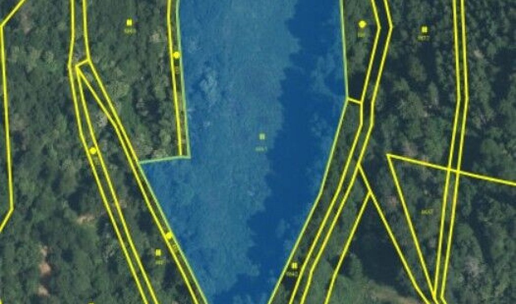 Pronájem pole 47 593 m², Svojšín – náhled fotky 2