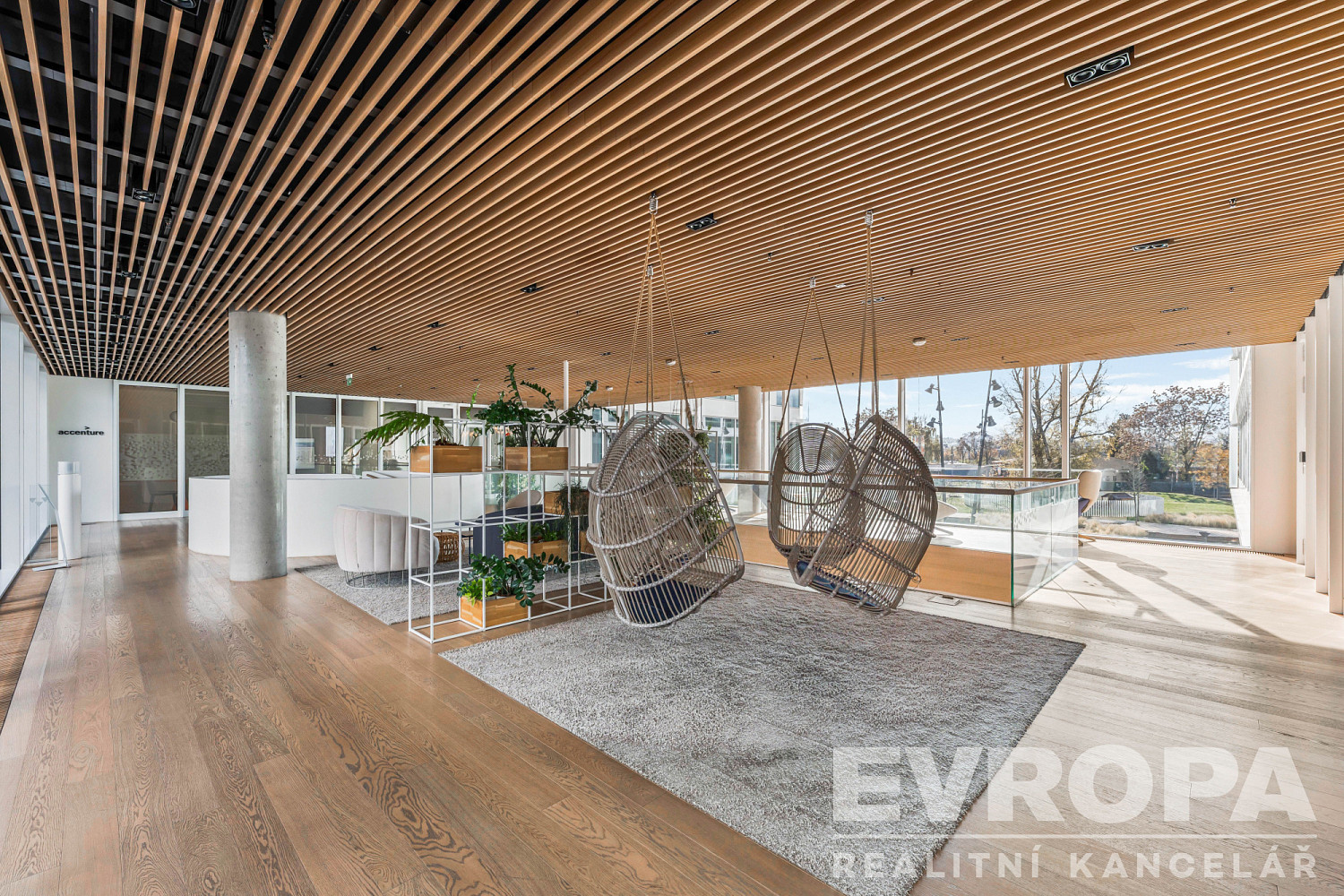 Fotka 11 z 15