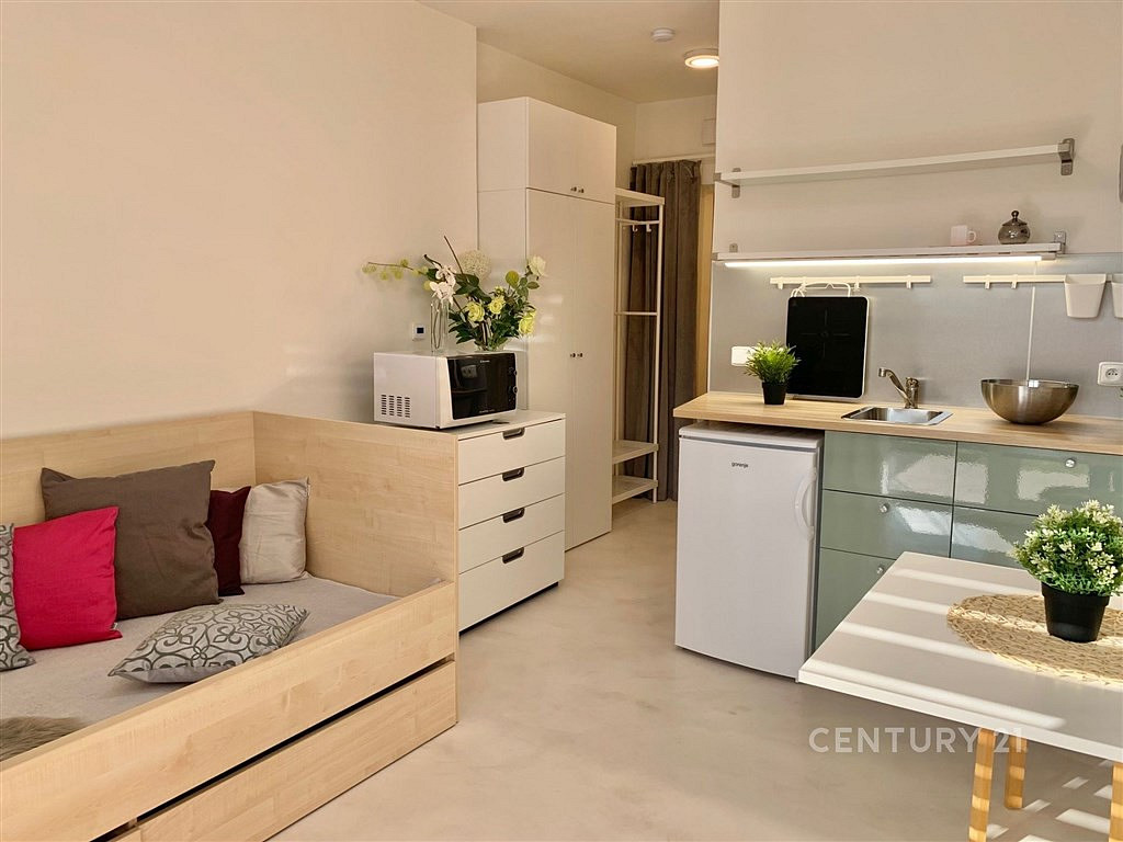 Pronájem bytu 1+kk 15 m²