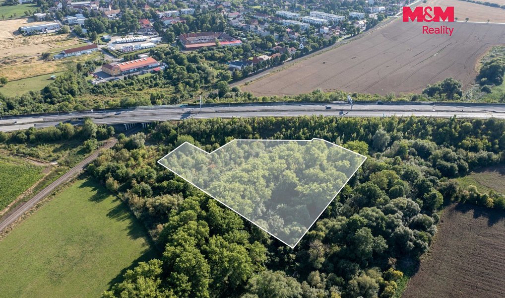 Prodej lesa 8 894 m², Praha – náhled fotky 3
