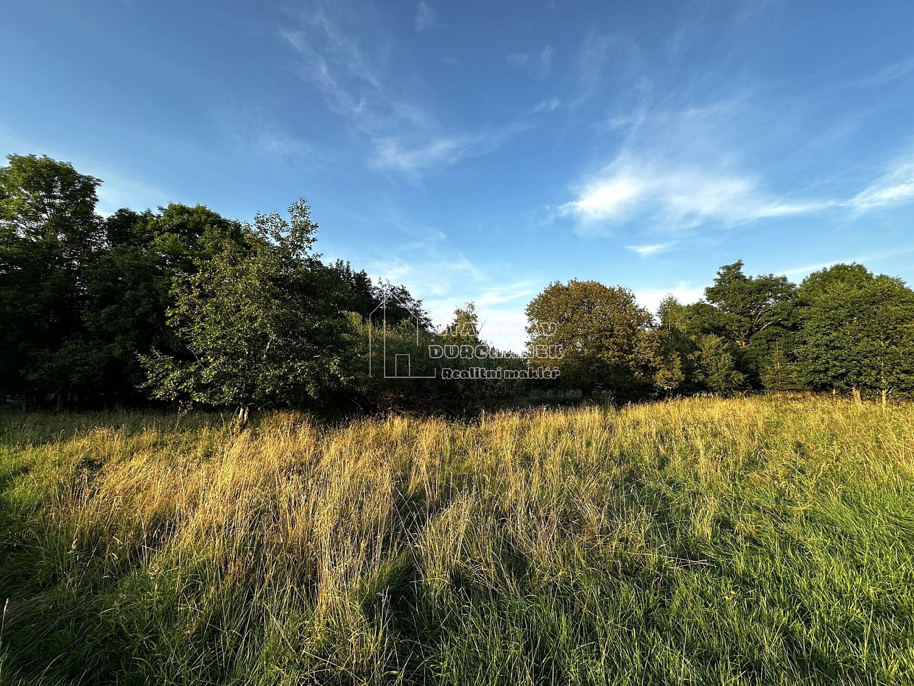 Prodej stavebního pozemku 4 929 m² – další