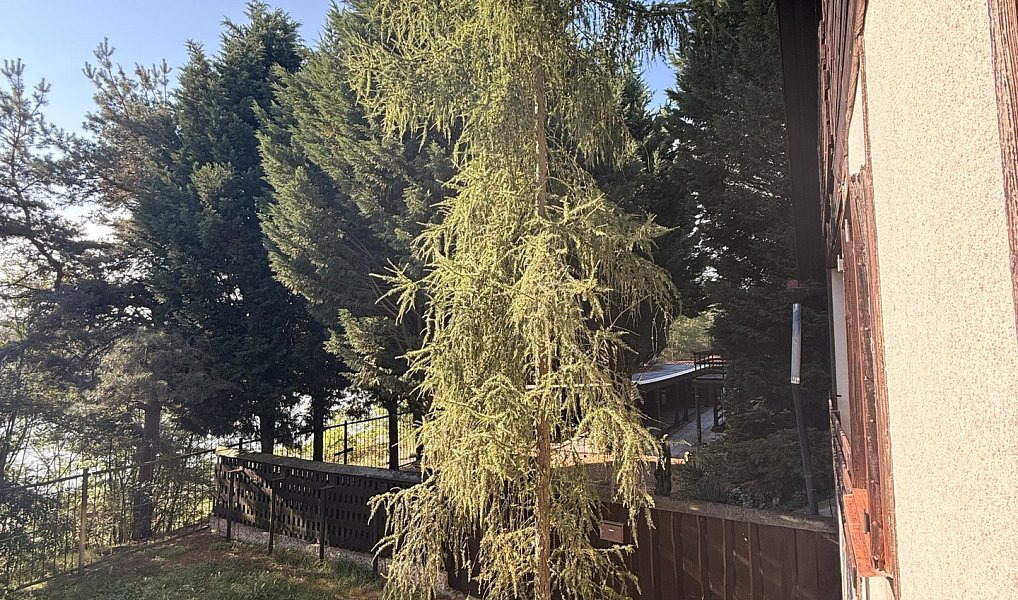 Prodej chaty/chalupy 180 m² s pozemkem 694 m², Račice – náhled fotky 17
