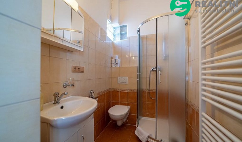 Prodej ubytovacího objektu 340 m², Brandýs nad Orlicí – náhled fotky 8