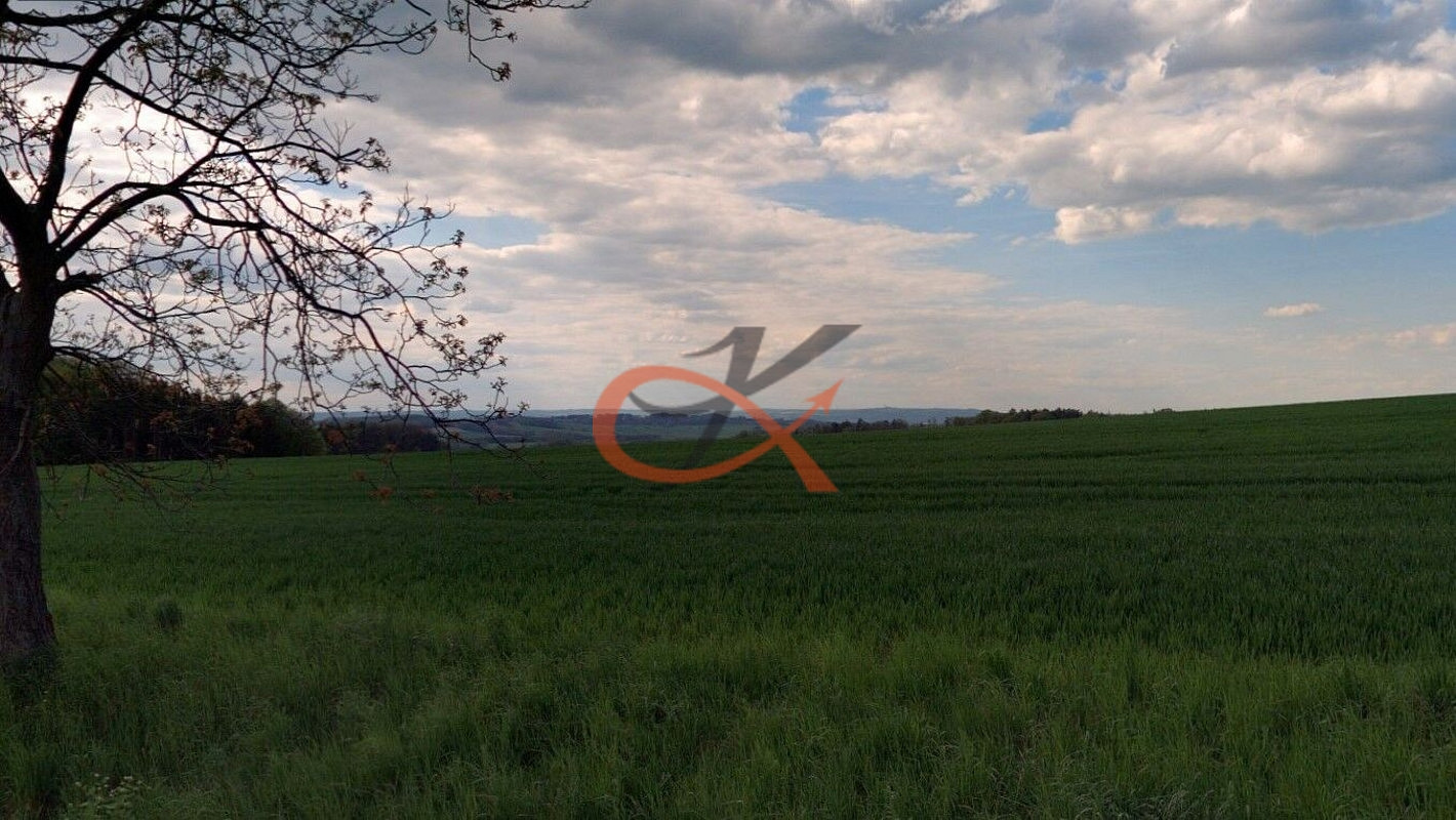 Prodej pole 2 192 m² – fotografie 4
