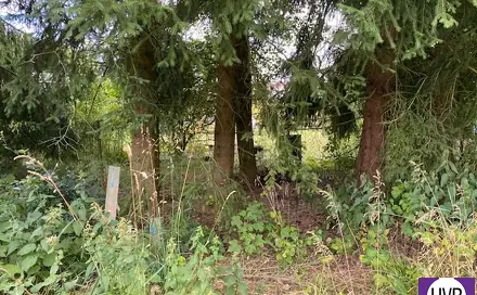 Prodej stavebního pozemku 511 m², Sklenský vrch, Rotava, okres Sokolov