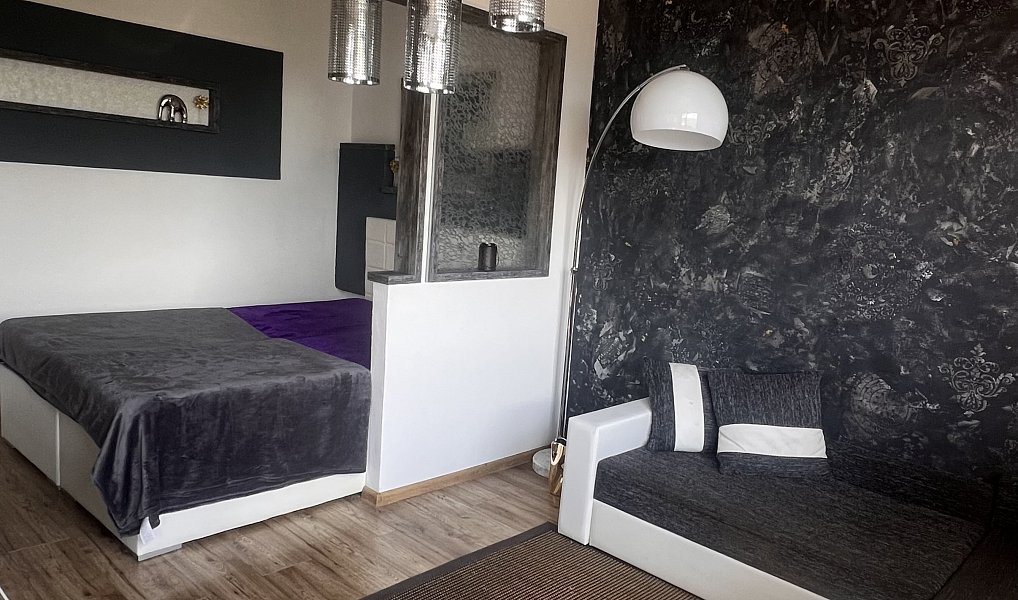 Prodej bytu 1+1 37 m², Frýdek-Místek – náhled fotky 3