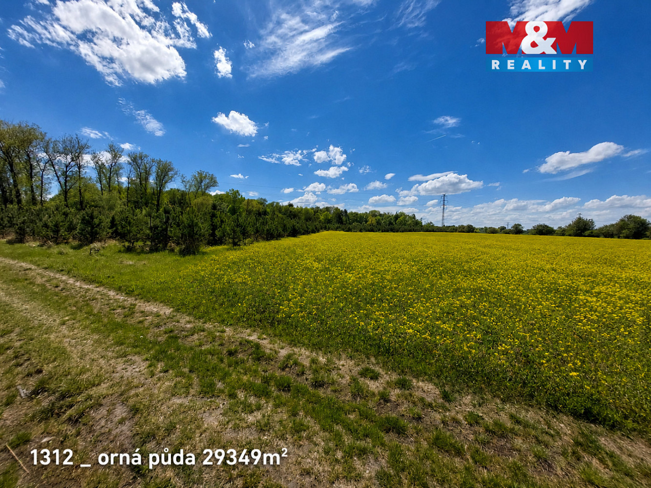 Prodej pole 142 115 m² – pohled 2