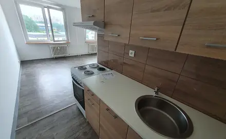 Pronájem bytu 1+kk 32 m², Pod Šibeníkem, Most