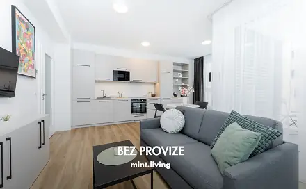 Pronájem bytu 2+kk 49 m²