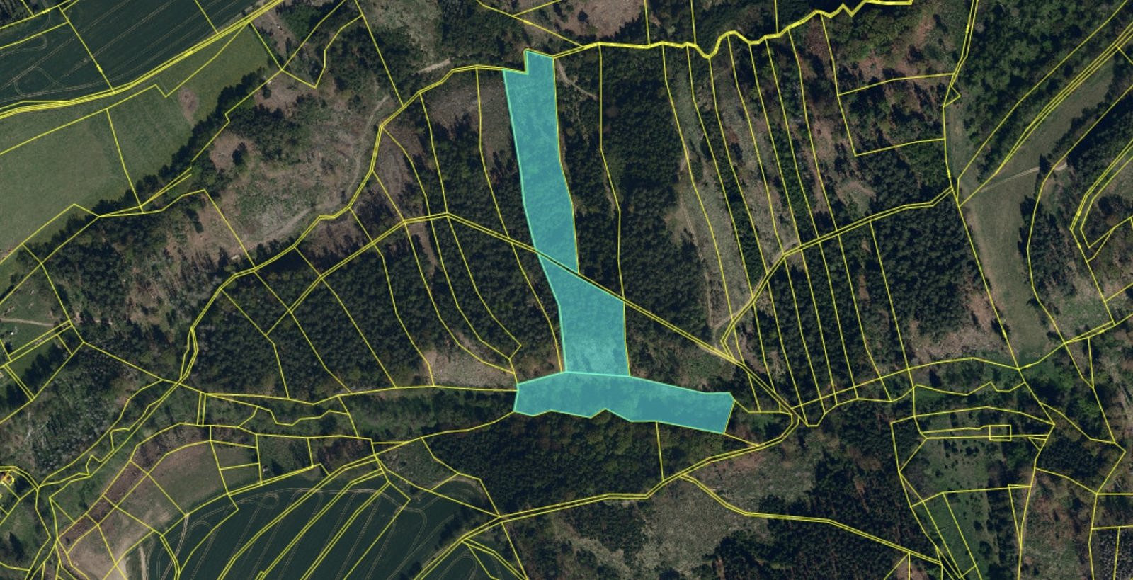 Prodej lesa 19 133 m²