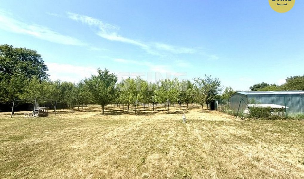 Prodej zahrady 4 652 m², Strážnice – náhled fotky 3