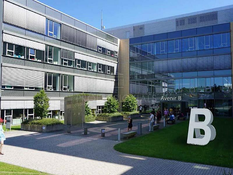 Pronájem kanceláře 500 m² – fotografie 5