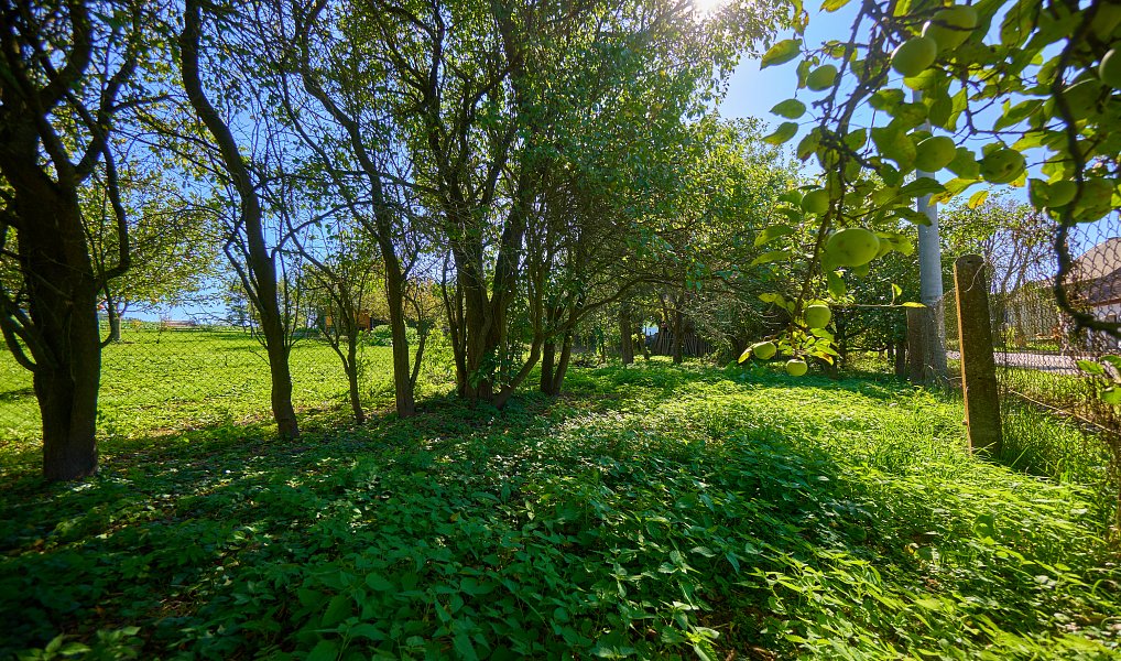 Prodej domu 127 m² s pozemkem 452 m², Bezděčí u Trnávky – náhled fotky 11