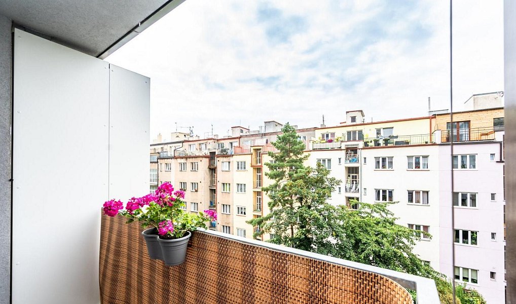 Pronájem bytu 2+kk 65 m², Praha – náhled fotky 5