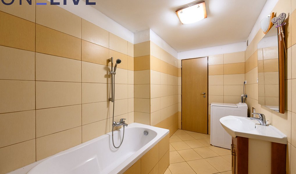 Prodej domu 234 m² s pozemkem 1 080 m², Tužice – náhled fotky 19