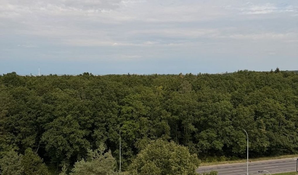 Prodej bytu 1+kk 31 m², Praha – náhled fotky 5