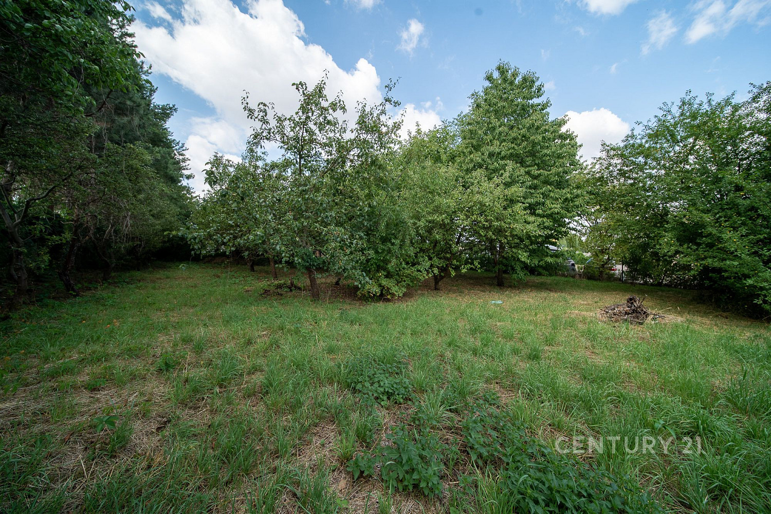 Prodej domu 145 m² s pozemkem 2 417 m² – fotografie 4
