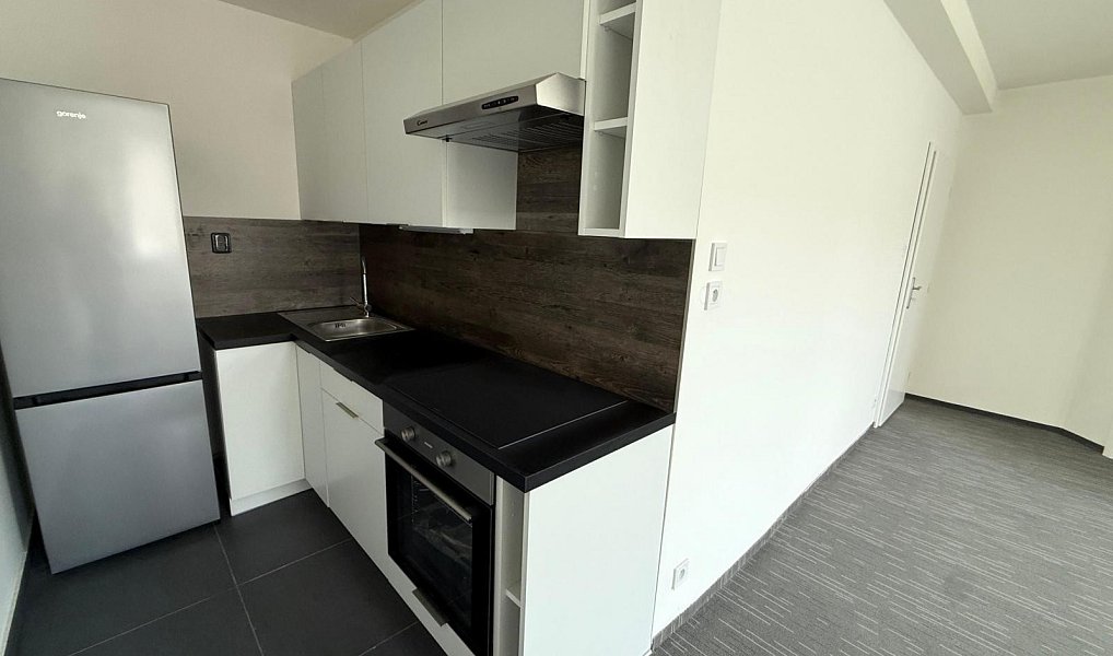 Pronájem bytu 2+kk 50 m², Chomutov – náhled fotky 3