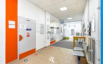 Prodej komerčního objektu (jiného typu) 348 m², Na Šibeníku, Olomouc - Nová Ulice