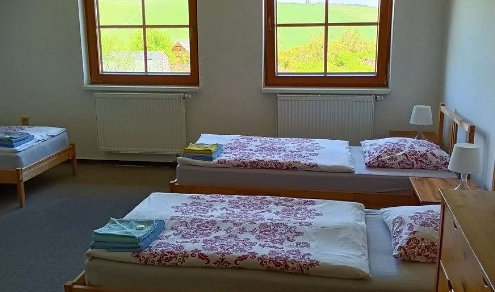Prodej ubytovacího objektu 700 m², Bobrová – náhled fotky 10