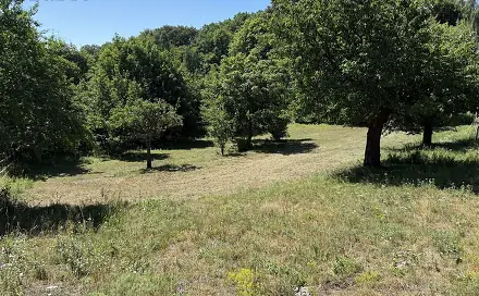 Prodej domu 85 m² s pozemkem 352 m², Litvínov - Písečná, okres Most