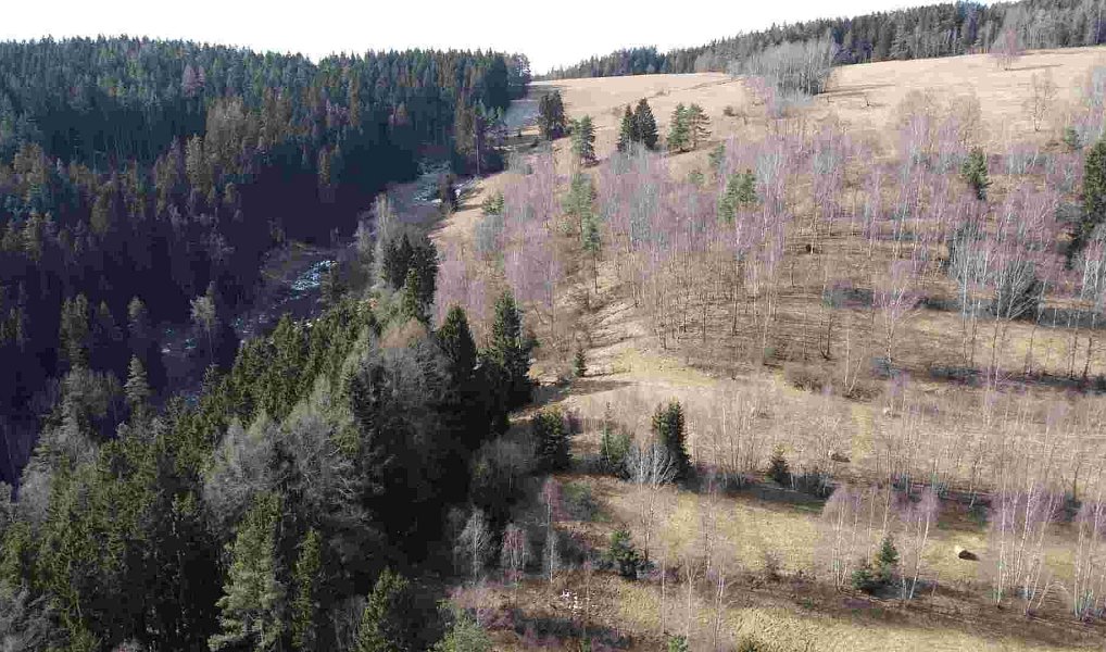 Prodej pole 3 869 m², Kraslice – náhled fotky 2