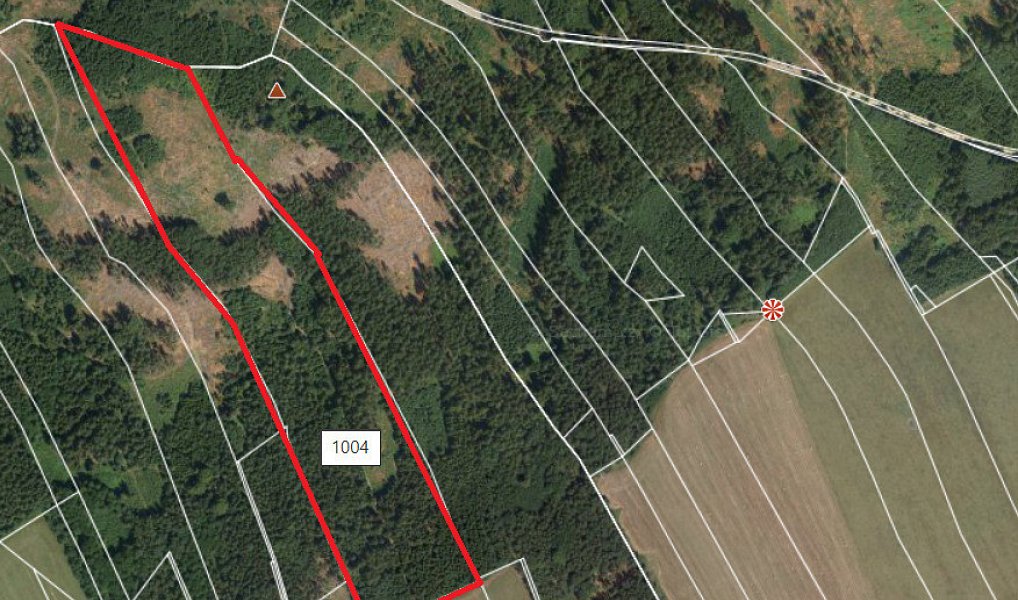 Prodej pole 284 223 m², Dolní Řasnice – náhled fotky 4