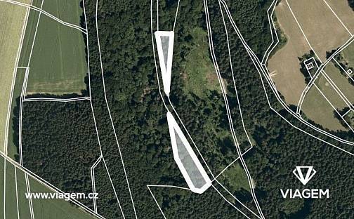 Prodej lesa 2 486 m², Sudislav nad Orlicí, okres Ústí nad Orlicí