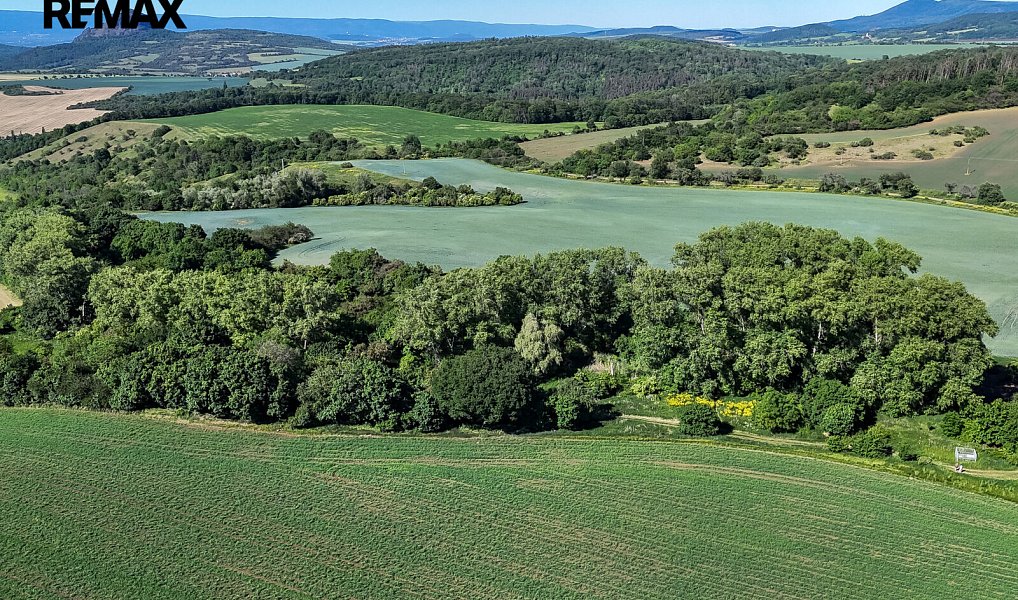 Prodej lesa 5 841 m², Skršín – náhled fotky 21