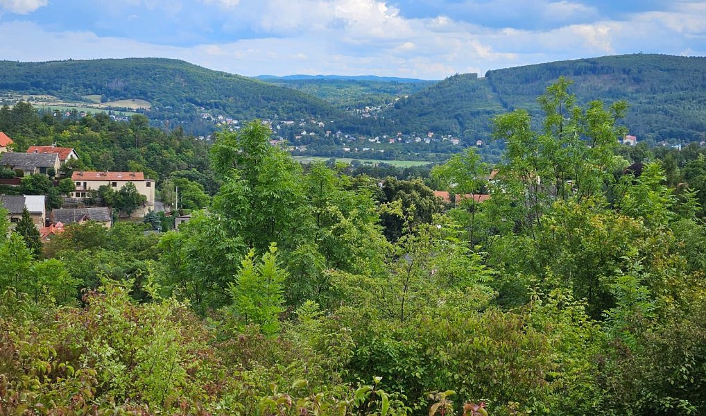 Prodej komerčního pozemku 3 598 m², Vonoklasy – náhled fotky 12