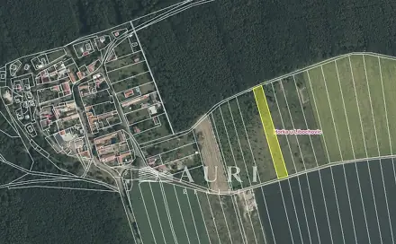 Prodej pole 3 428 m², Evaň - Horka, okres Litoměřice