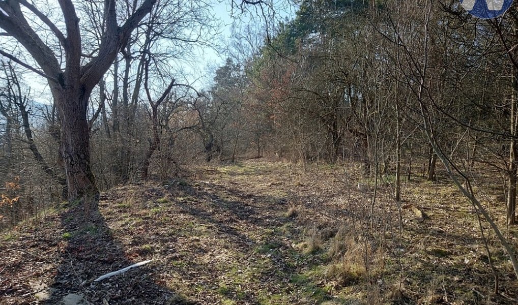 Prodej pozemku 1 999 m², Vlachovo Březí – náhled fotky 5