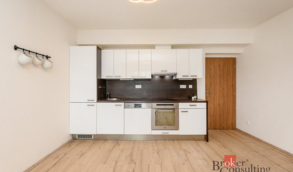 Pronájem bytu 2+kk 59 m², Plzeň – náhled fotky 2