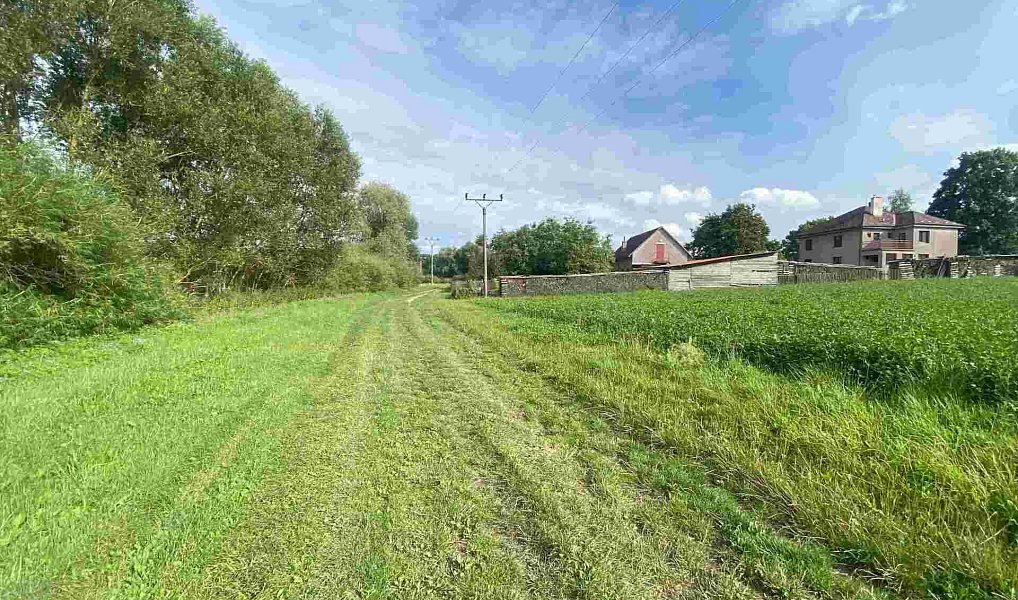 Prodej pozemku 6 901 m², Maleč – náhled fotky 2