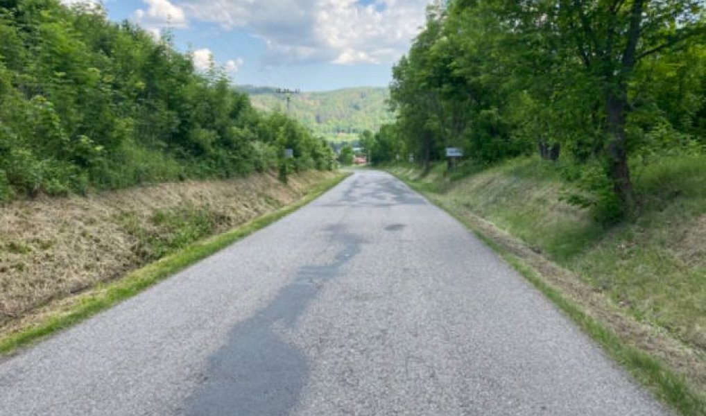 Prodej stavebního pozemku 4 256 m², Sázava – náhled fotky 5