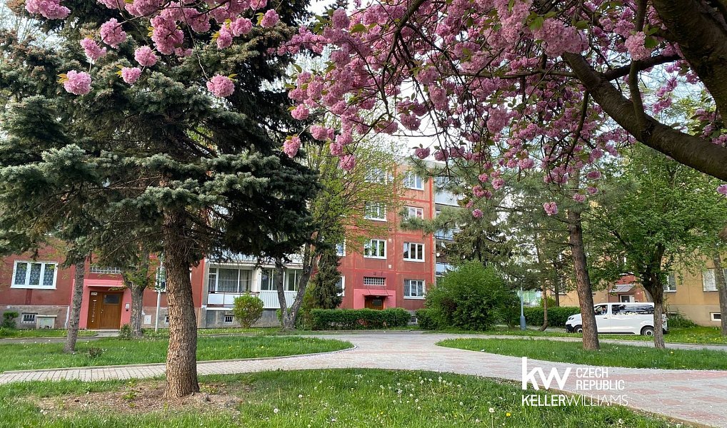 Prodej bytu 2+1 55 m², Bílina – náhled fotky 2