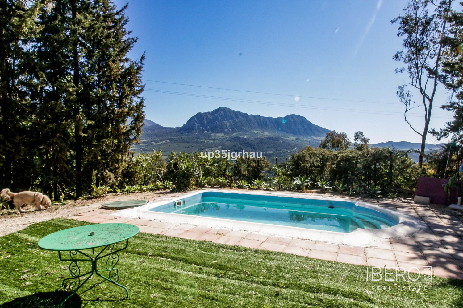 Prodej domu 150 m² s pozemkem 5 000 m²