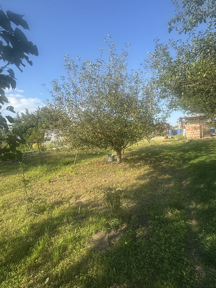Prodej zahrady 209 m² – pohled 6