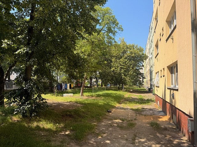 Fotka 12 z 12