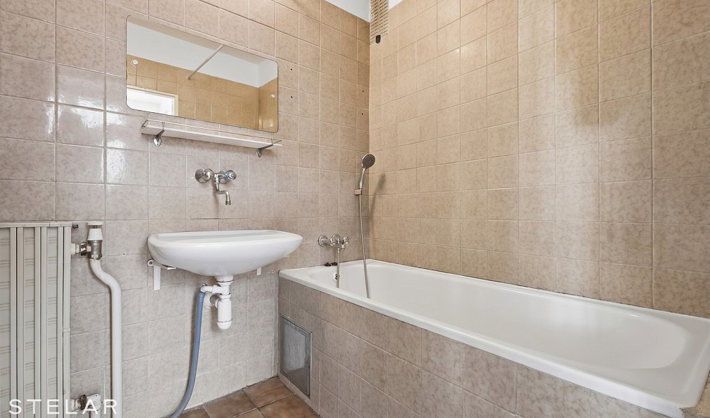 Prodej domu 240 m² s pozemkem 663 m², Rajhrad – náhled fotky 12