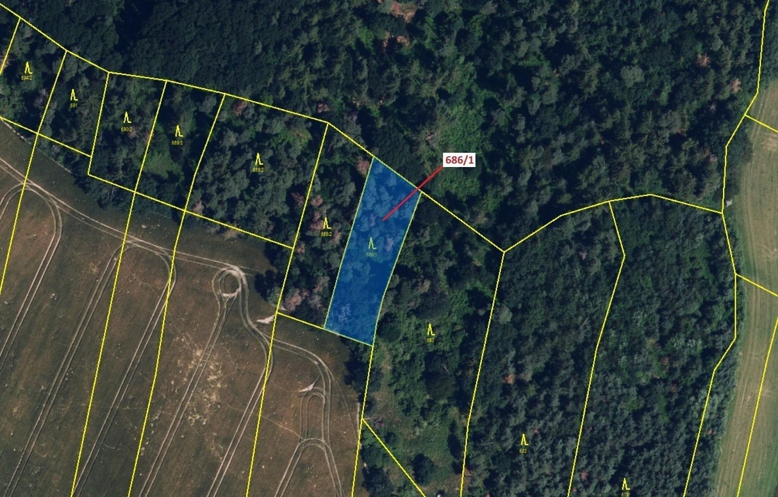 Dražba lesa 1 280 m² — photo 2