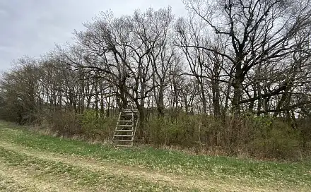 Prodej lesa 462 m², Silůvky, okres Brno-venkov