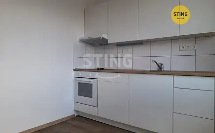 Pronájem bytu 1+1 40 m²