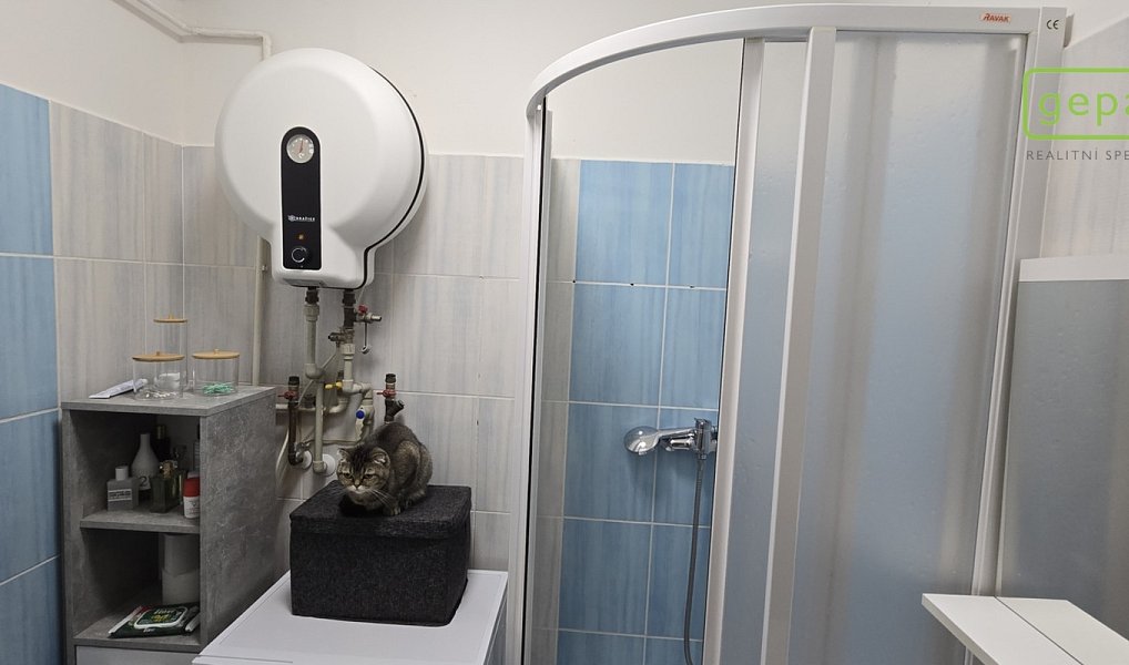 Prodej bytu 1+kk 28 m², České Budějovice – náhled fotky 8