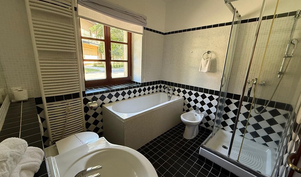Pronájem domu 160 m² s pozemkem 378 m², Zádub-Závišín – náhled fotky 11