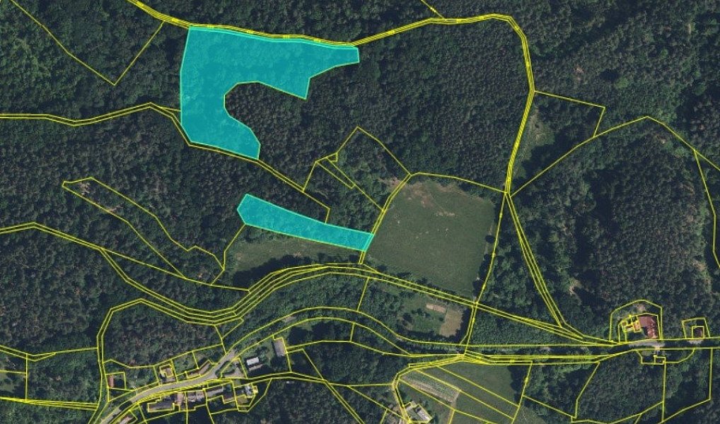 Prodej louky 16 229 m², Boseň – náhled fotky 6